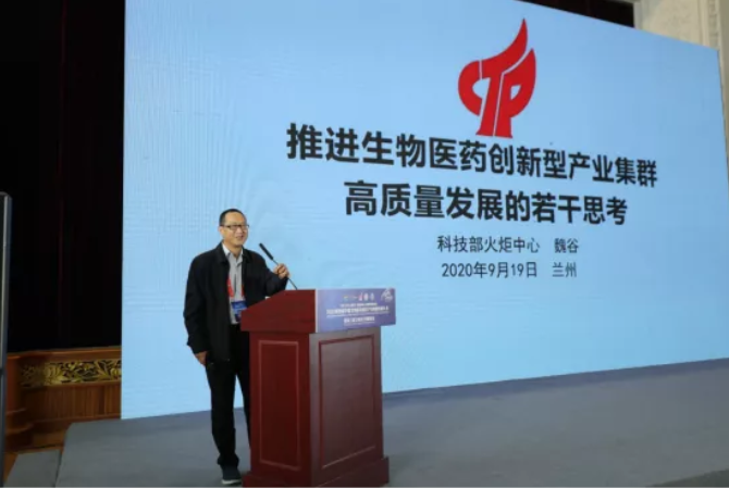 科技部火炬中心产业集群处处长魏谷