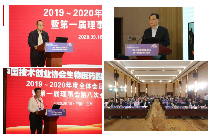 CBPCA联盟第一届理事会第八次会议圆满召开