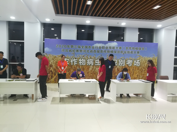 河北省首届农作物植保员职业技能大赛比赛现场。