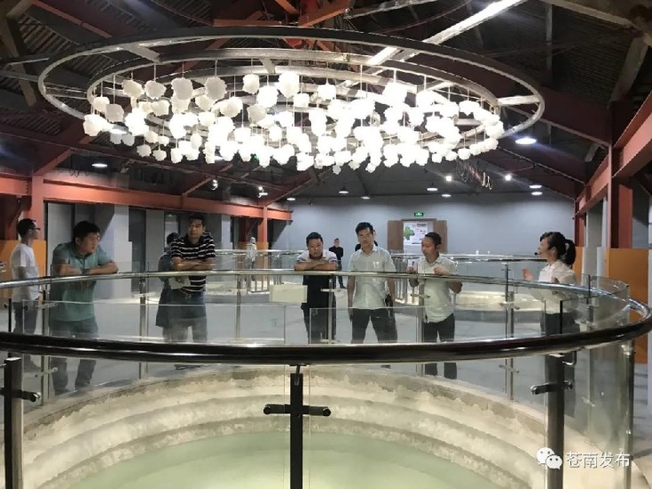 浙江苍南：点燃内外发展“引擎” 重整行装再踏征程