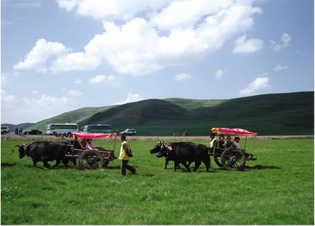 岷县狼渡草原（岷县闾井镇大庄村）