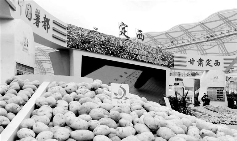 展会现场 掌上兰州·兰州晨报记者张秀芸 摄