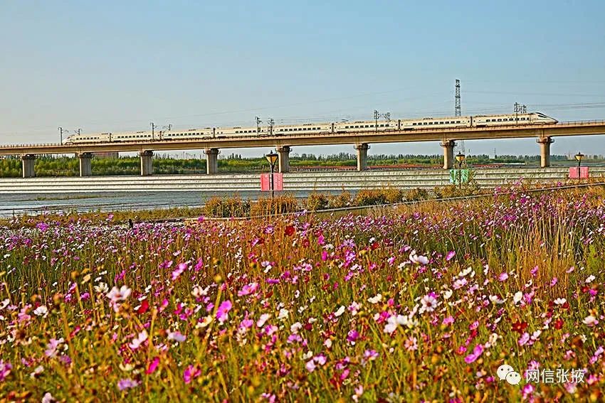 2020年9月26日，在张掖市黑河岸畔的滨河新区，城中花卉正艳，安居工程建设正酣，一幢幢高楼大厦在花园中拔地而起，城中花园艳了金秋，靓了新区。（杨永伟 摄）