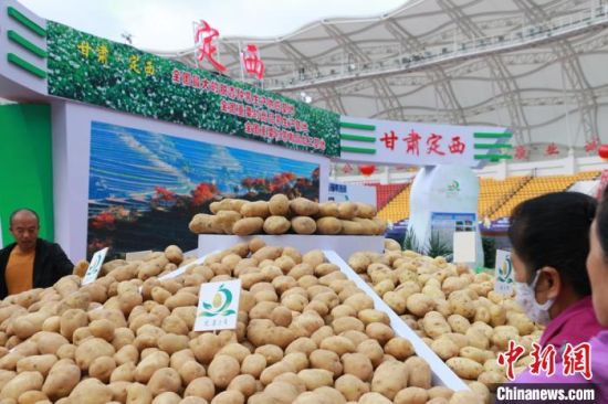 9月25日至28日,全国马铃薯产业现场推进会和2020年中国马铃薯大会在甘肃省定西市安定区召开。图为马铃薯展馆现场。张婧 摄