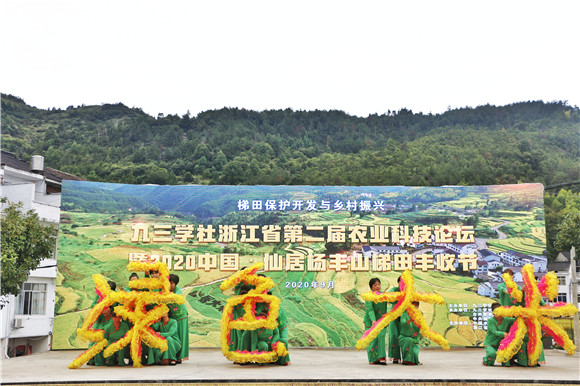 仙居杨丰山:稻花香里说丰年