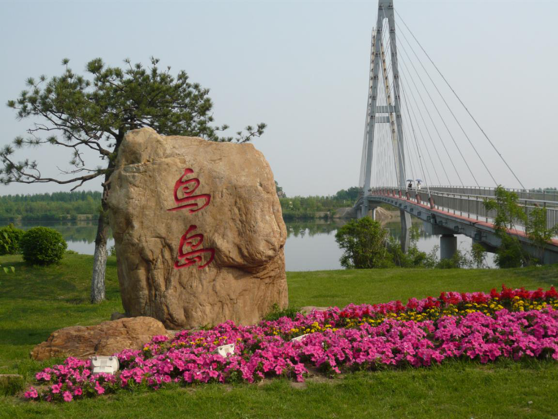 鸟岛迎来新朋友国庆来看比枫叶还红的这种鸟还能打卡四处新场馆