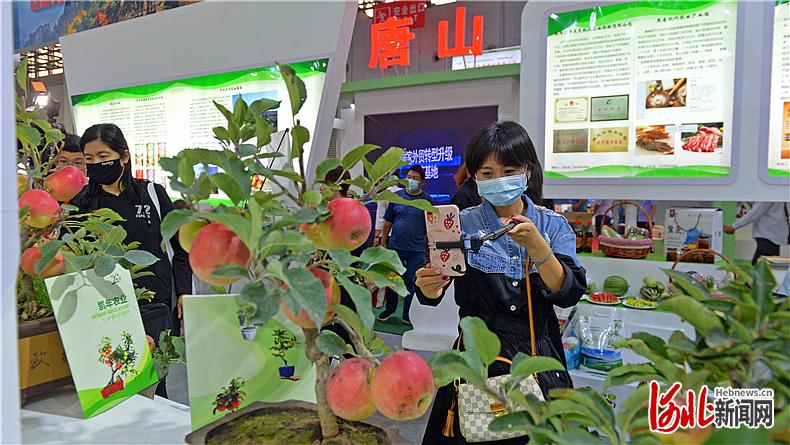 9月26日，第二十四届中国（廊坊）农产品交易会在廊坊国际会展中心隆重开幕。图为观众在河北省特色农产品精品展内参观。河北日报记者田明摄