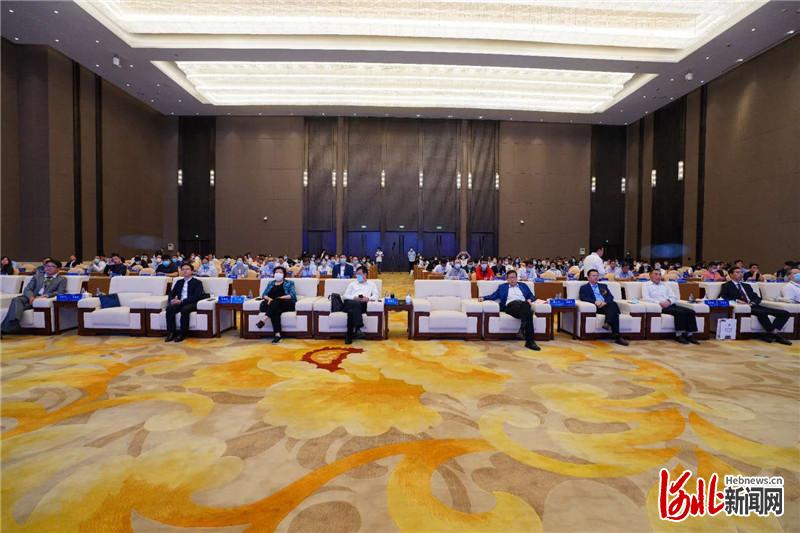 9月26日，中国（河北）自由贸易试验区正定片区发展论坛在石家庄国际会展中心成功举办。图为论坛现场。董康摄