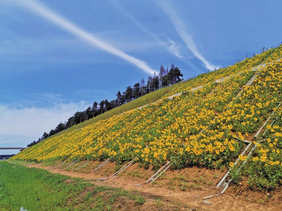 远近景结合，打造优美路域环境。