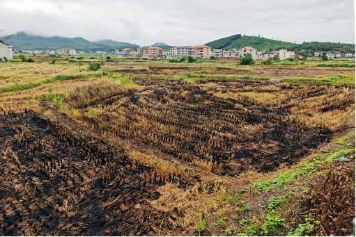 衡南县花桥镇竹山村秸秆露天焚烧 图片来源湖南省生态环境厅官网_副本