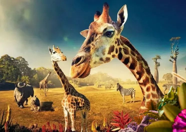 十大海陆珍稀神兽带你大开眼界,快来围观自贡·万达 首届疯狂动物城