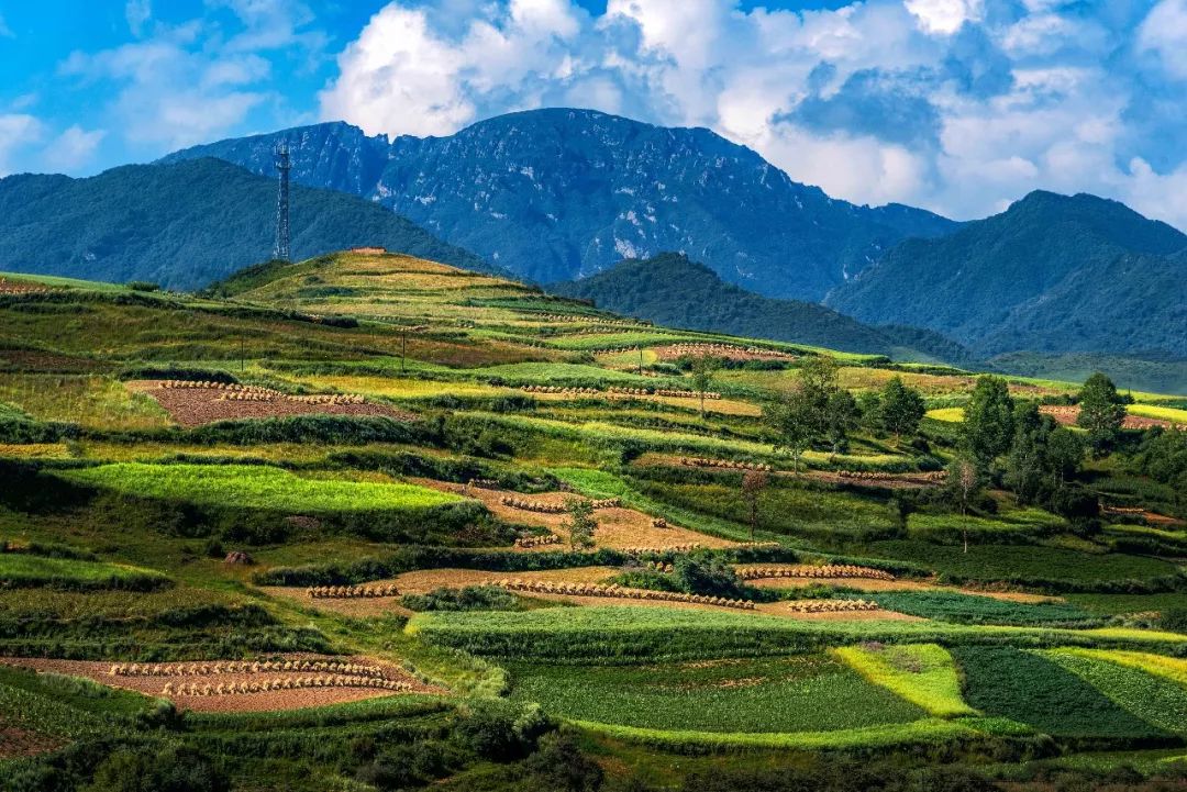 定西梯田