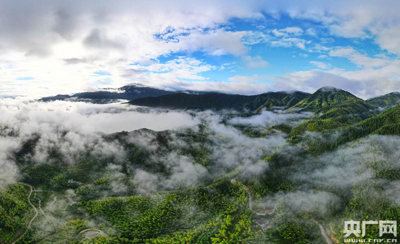 风景如画(央广网发 通讯员谷志斌 摄)