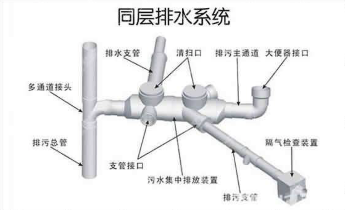 为美好而来|新江北孔雀城,用感知体验创造美好生活