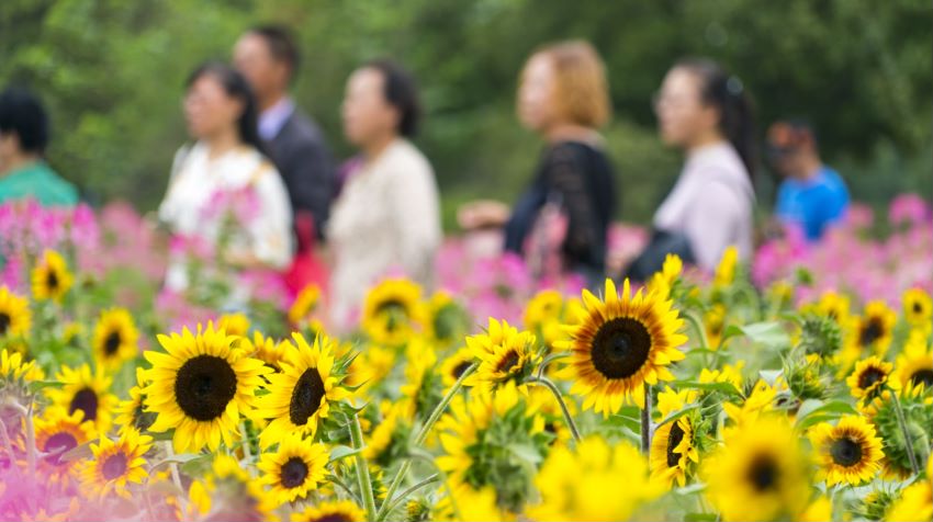 点击查看高清原图