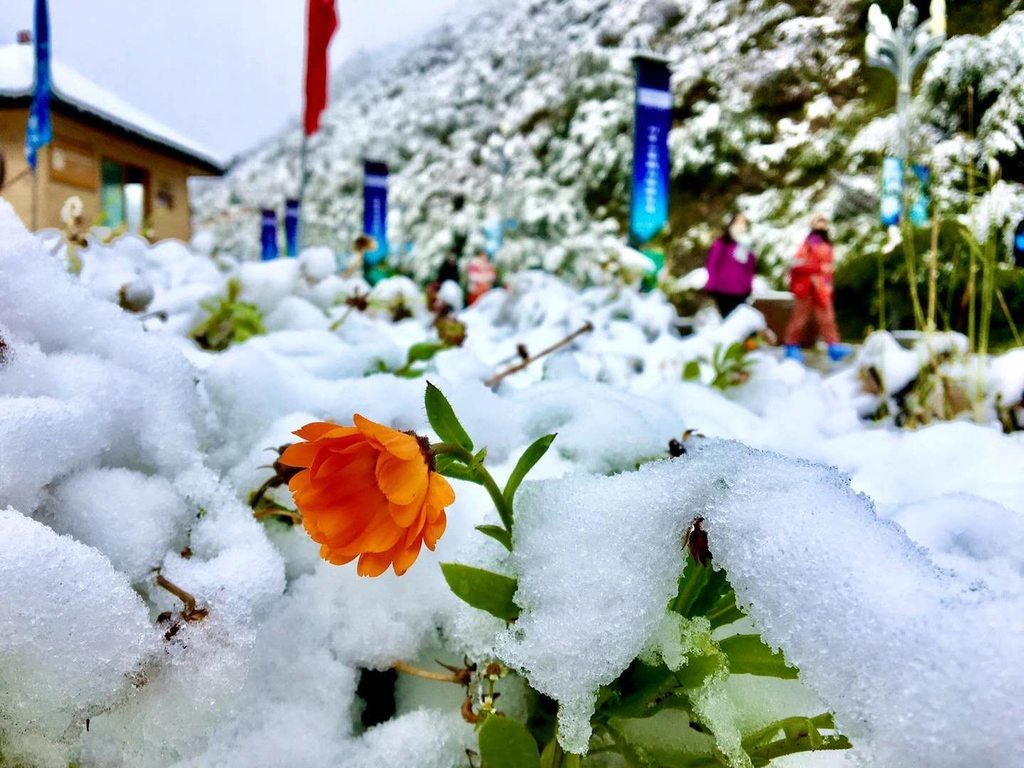 九寨沟 黄龙 四姑娘山开启雪景模式 凤凰网