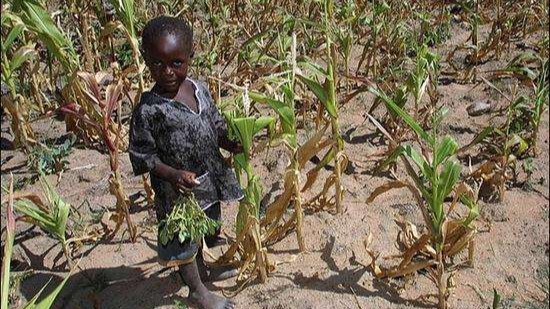 世界粮食计划署回应被授诺奖:和平与零饥饿是齐头并进的