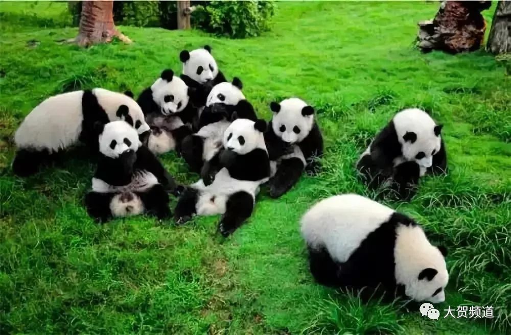 【凤鸣】九州台能否成为兰州旅游的超级IP？