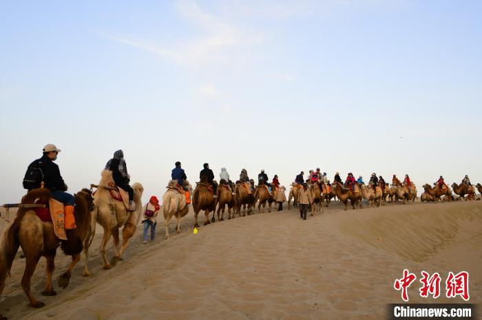 上千匹骆驼载游客畅游鸣沙山，形成长约2公里的环形长队。　王斌银 摄