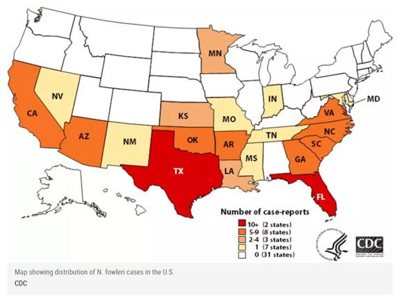 （美国“食脑虫”感染病例分布图 图源：《新闻周刊》引自CDC）