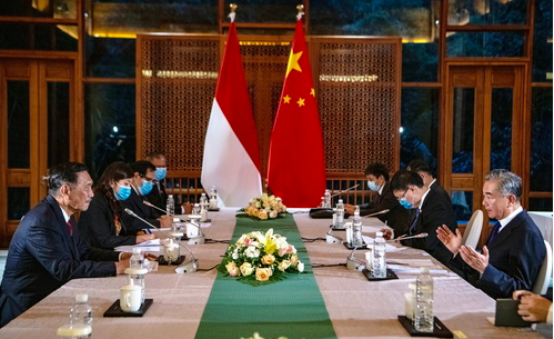 王毅同印尼总统特使卢胡特举行会谈