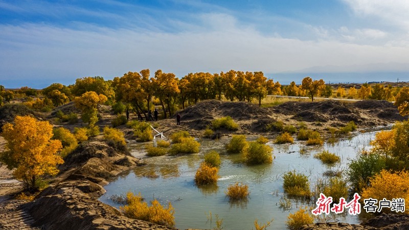 牧民"纵驼驰骋"大漠戈壁 在"双节"遇见醉美裕固风情