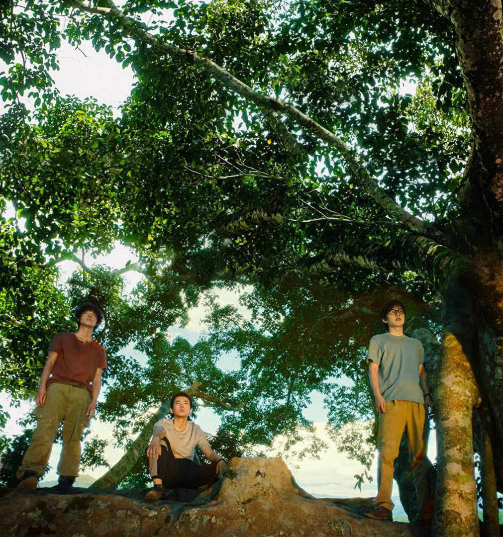 《一点就到家》剧照，三位主角在树上远眺“梦想”。