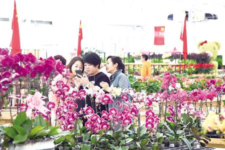 花卉交易中心游人如织 记者 丁凯 摄