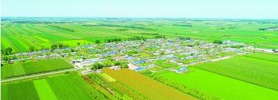 打工看病不出村——黑龙江省明水县兴发村的脱贫之路