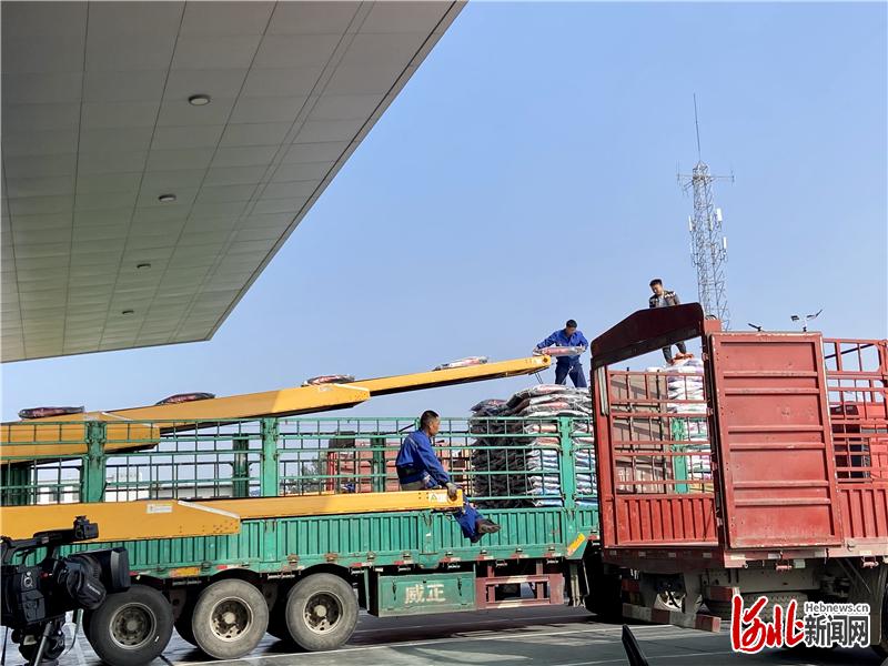 图为一袋袋宠物食品由南和区发往全国各地。通讯员梁慧丽摄