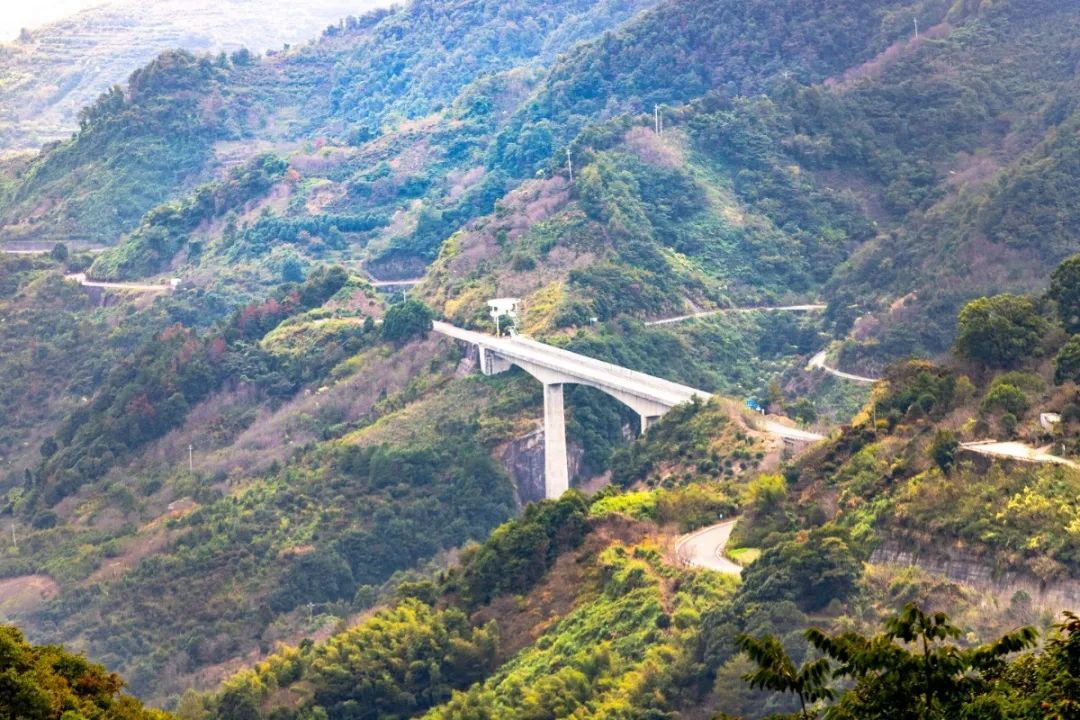 宁波这条盘山公路美得醉人!头上开着小火车,还有色彩斑斓的水库湿地!