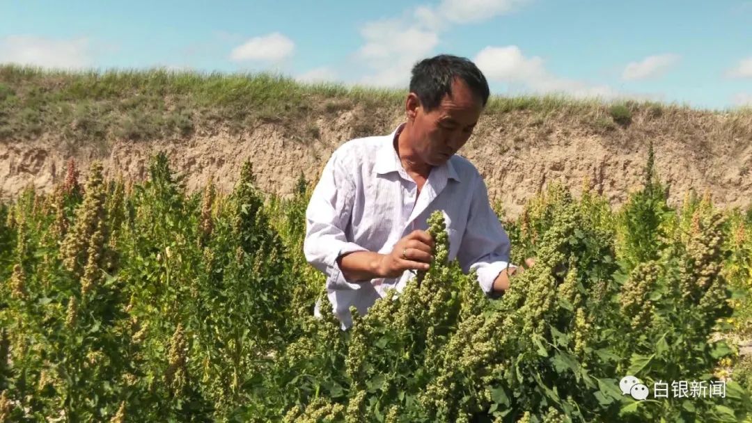 从山沟沟到小洋楼 易地扶贫搬迁解锁“幸福密码”