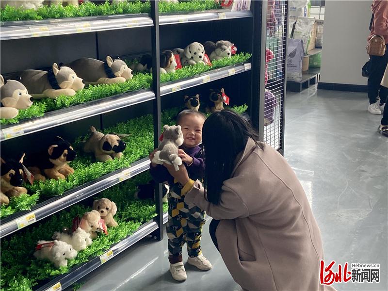 图为各种各样的宠物玩具让孩子爱不释手。通讯员梁慧丽摄