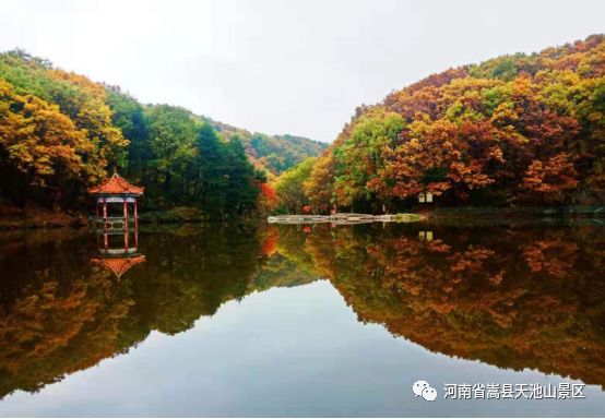 深秋天池山五彩斑斕,賞葉觀景正當時!鳳凰網河南_鳳凰網