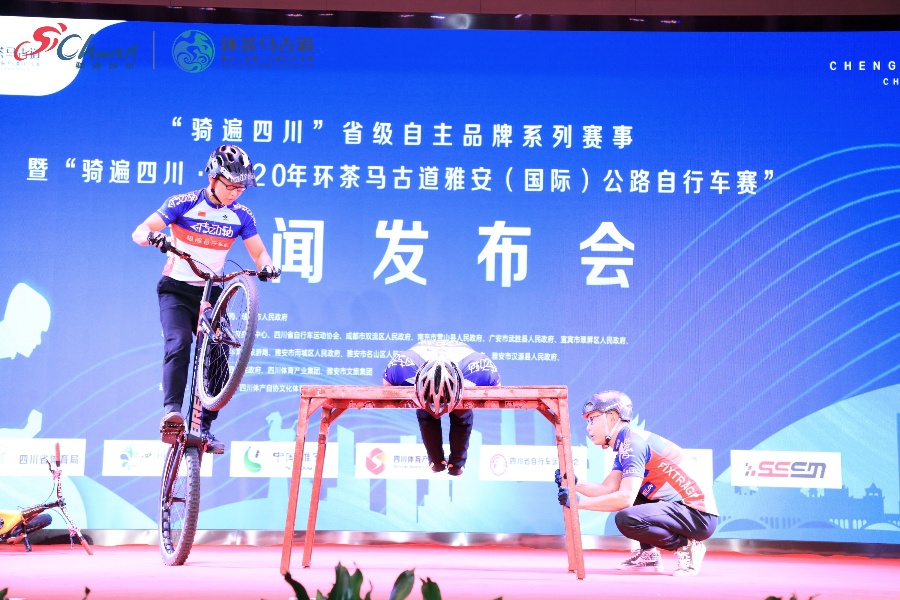 公路自行车品牌排行_中国入门碳纤维公路车推荐辐轮王土拨鼠世界第一自行车品牌排行榜(2)