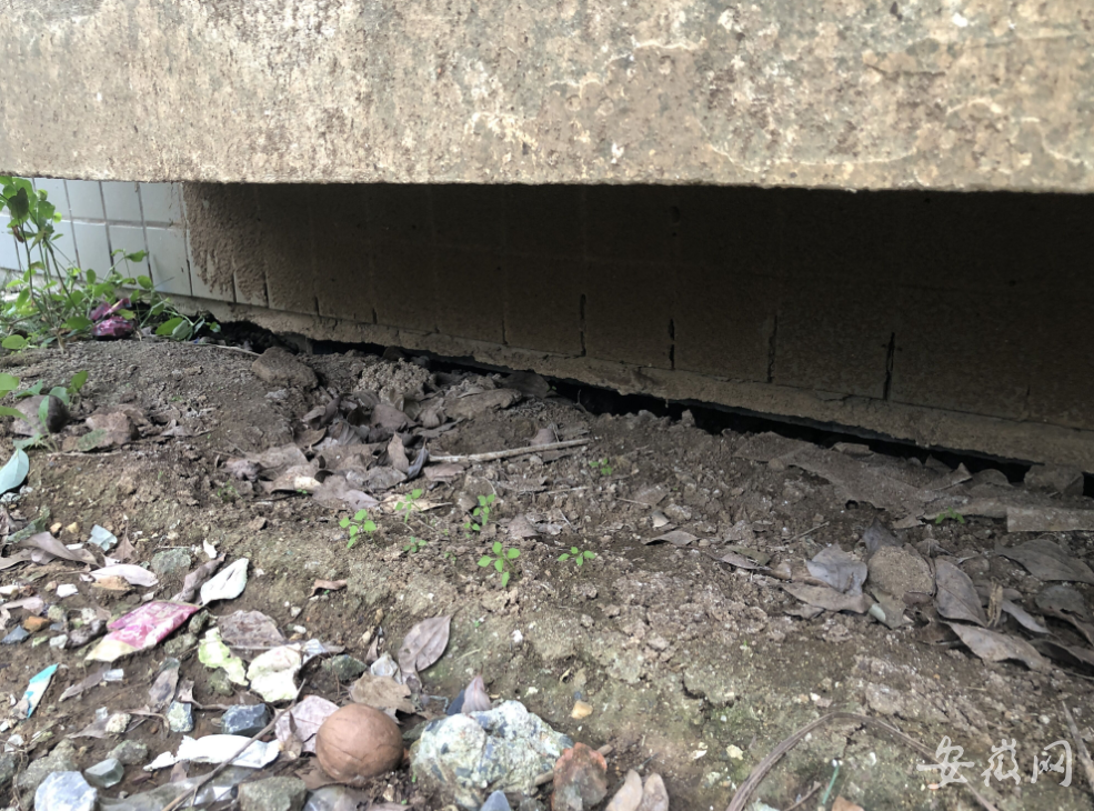 合肥市淠河路庐阳佳苑小区一居民楼底出现一条缝