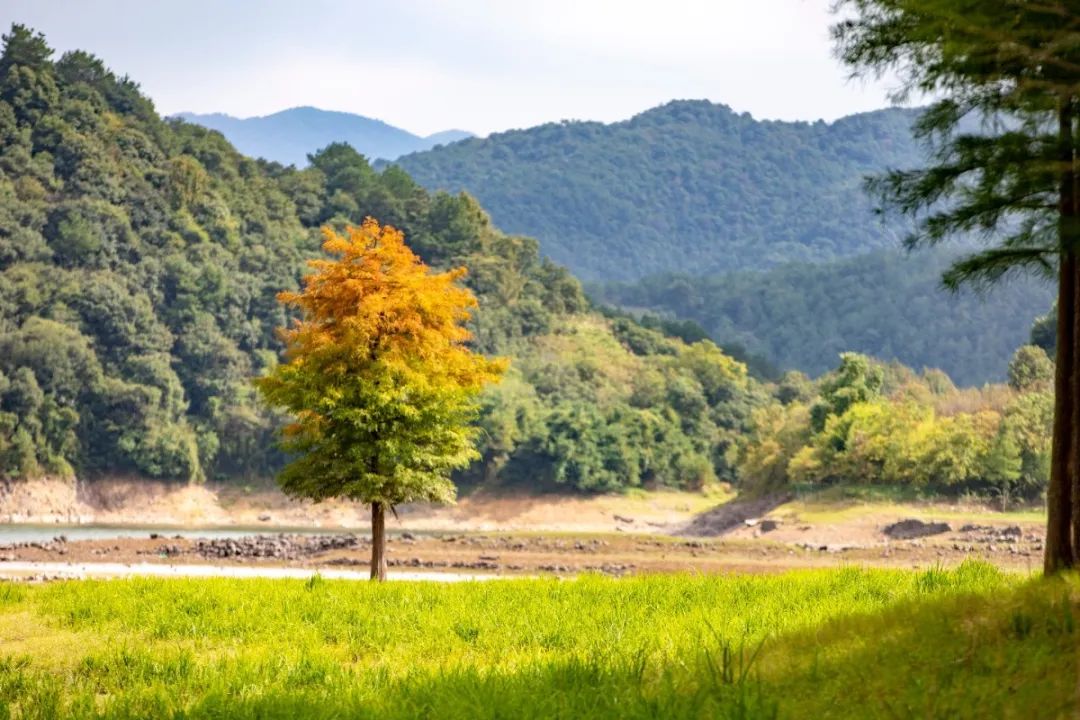 宁波这条盘山公路美得醉人!头上开着小火车,还有色彩斑斓的水库湿地!