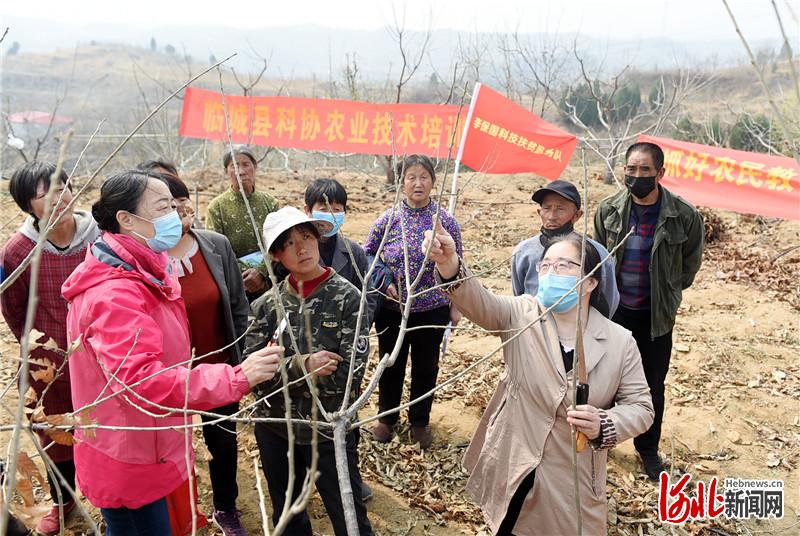 3月25日，李保国科技扶贫专家团队队长、河北农大林学院研究员、李保国教授妻子郭素萍（前左一）、李保国科技扶贫专家团队核心成员、河北农大林学院教授齐国辉（前右一）在临城县贾庄村为果农讲授板栗春季管理技术。 河北日报记者赵永辉摄