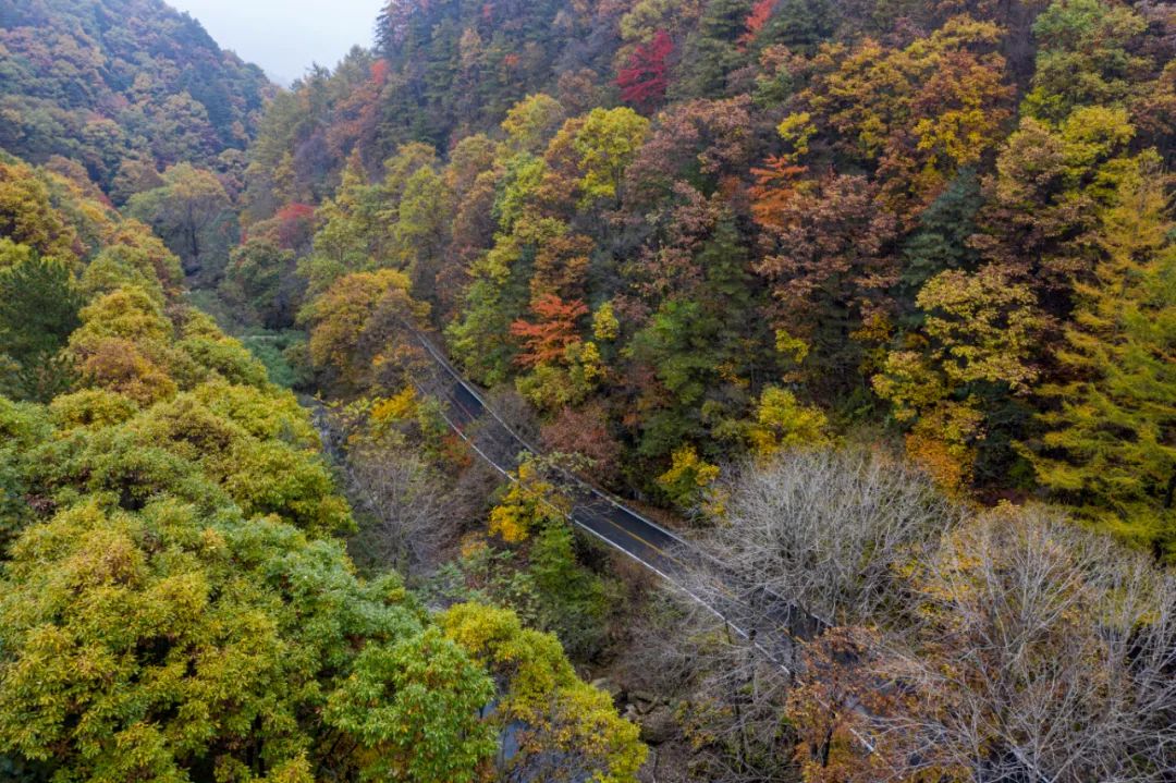 若问秋景何处好，唯有洛阳白云山！