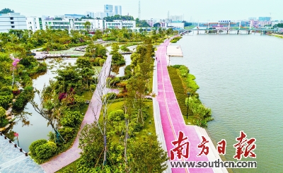 深圳茅洲河段燕罗湿地公园焕发生机。
