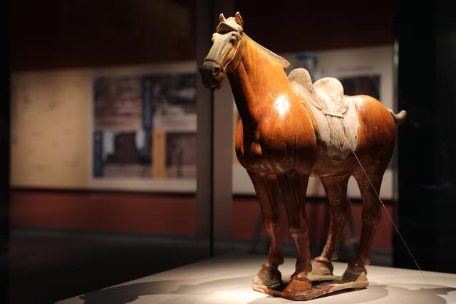 青海省博物馆藏唐三彩陶马展出现场