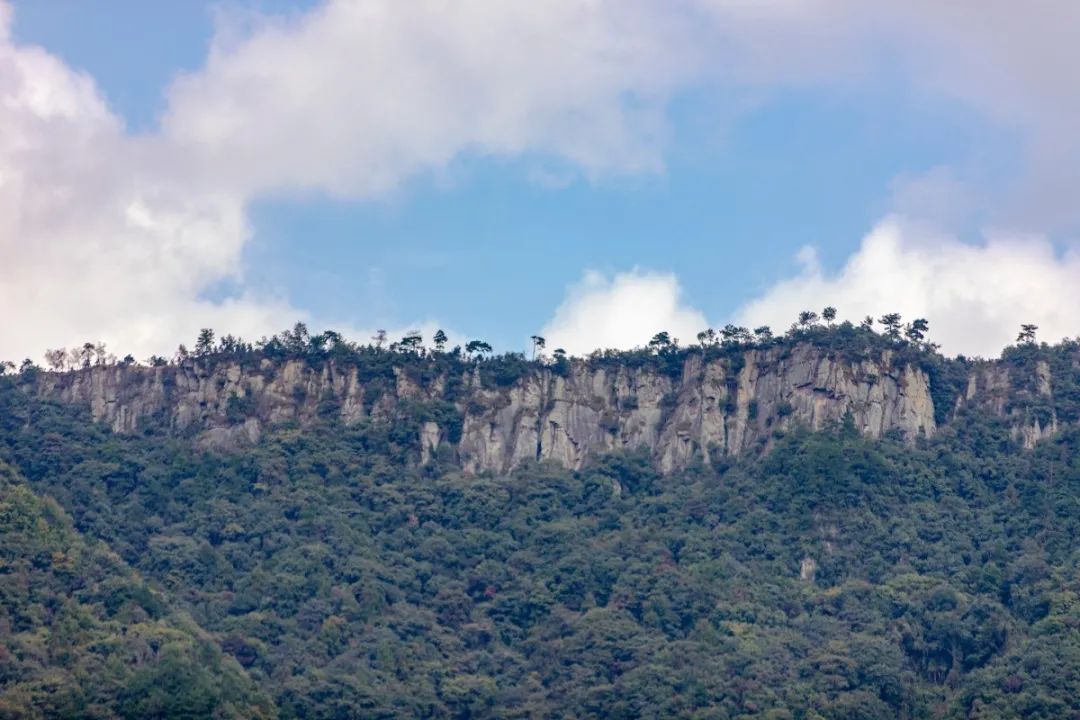 宁波这条盘山公路美得醉人!头上开着小火车,还有色彩斑斓的水库湿地!