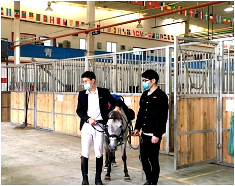 武汉首家马术特色幼儿园签约长江马业  江城马产业迎蓬勃发展