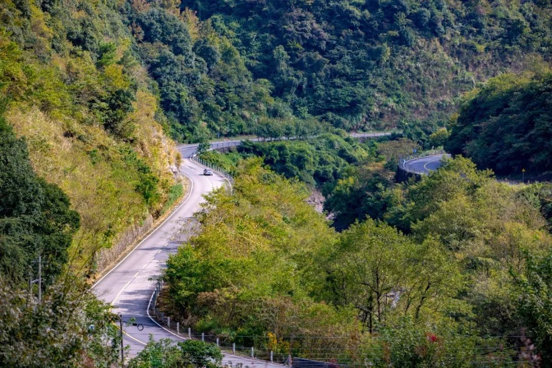 宁波这条盘山公路美得醉人!头上开着小火车,还有色彩斑斓的水库湿地!
