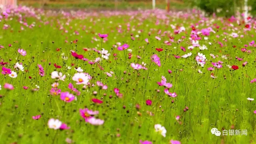 从山沟沟到小洋楼 易地扶贫搬迁解锁“幸福密码”
