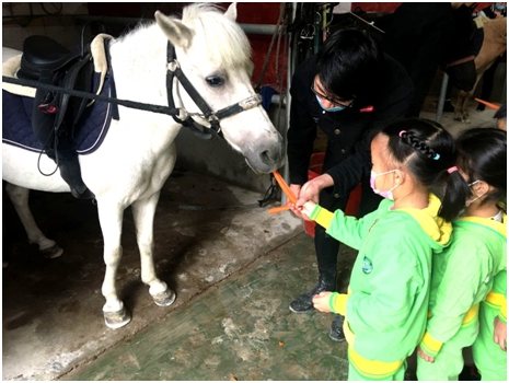 武汉首家马术特色幼儿园签约长江马业  江城马产业迎蓬勃发展