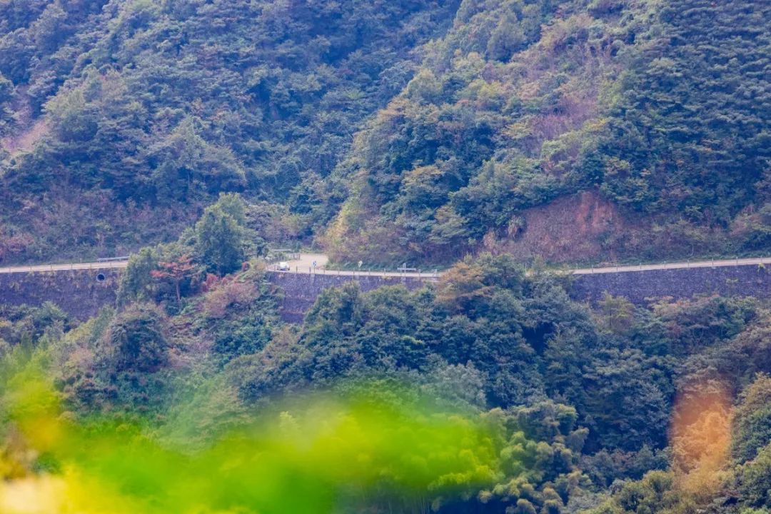 宁波这条盘山公路美得醉人!头上开着小火车,还有色彩斑斓的水库湿地!