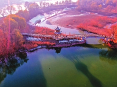 《俯视湿地》 丁柏杨 摄