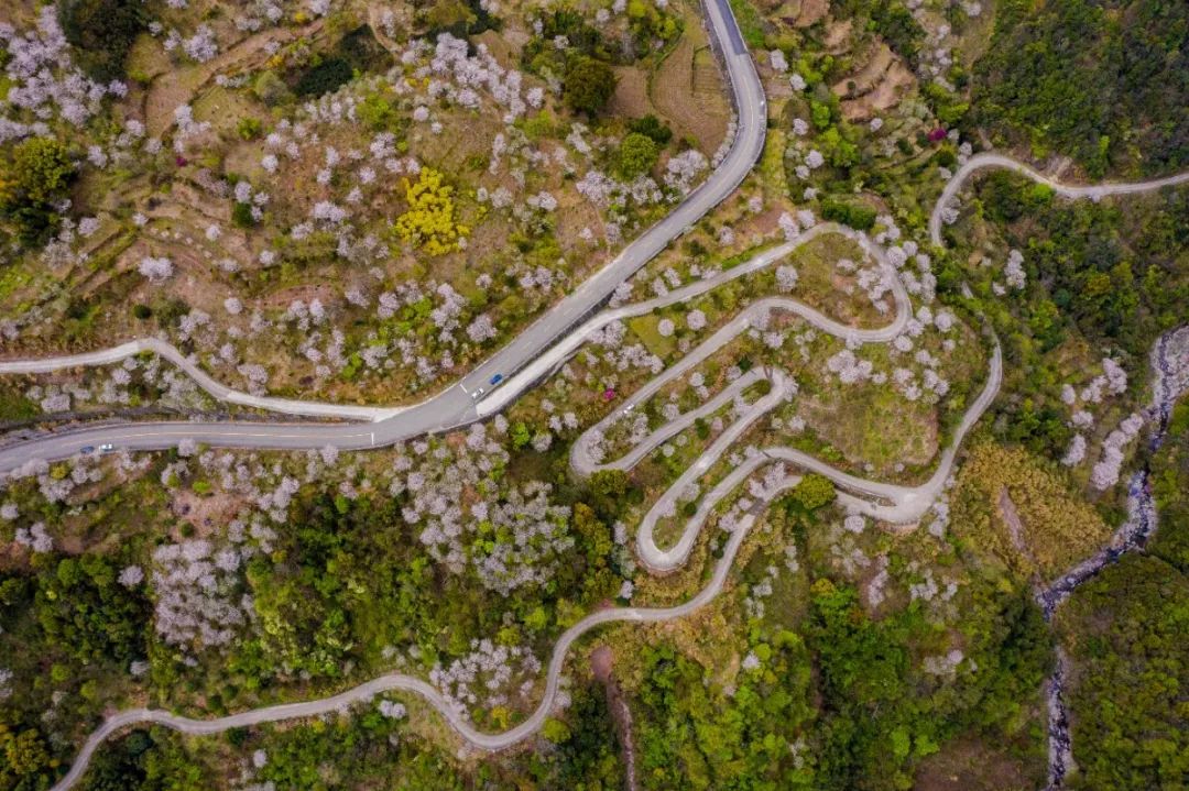 宁波这条盘山公路美得醉人!头上开着小火车,还有色彩斑斓的水库湿地!