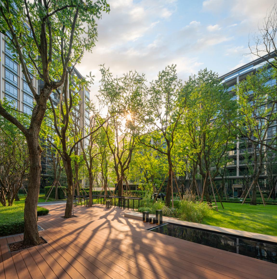 龙湖尘林间力求将景观与建筑都做到极致,社区里的每颗树木,都讲究一种